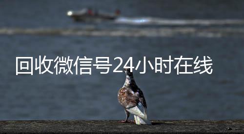 回收微信号24小高价回收vx秒结平台时在线秒结（回收微信号平台官网）