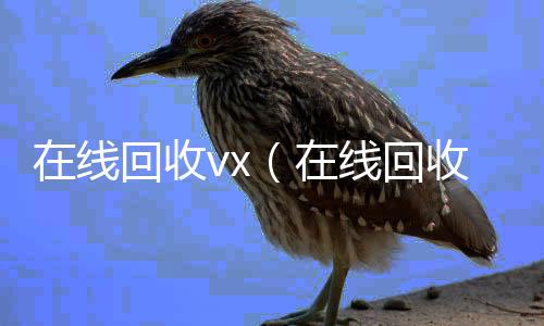 在线回收vvx回收联系方式x（在线回收号价格）