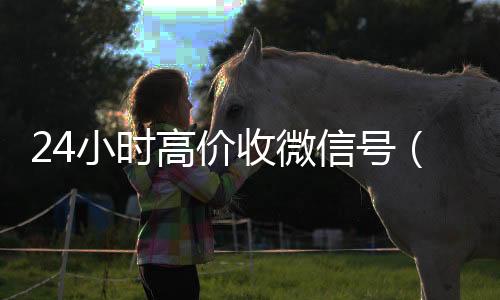 24小时高价收微信回收微信平台号（24小时高价收微信号是真的吗）